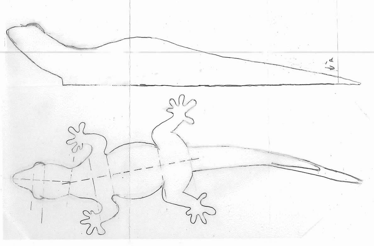 Gecko Pattern